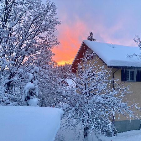 Ferienwohnung Haus Am Bach In Toggenburg Wildhaus Kültér fotó