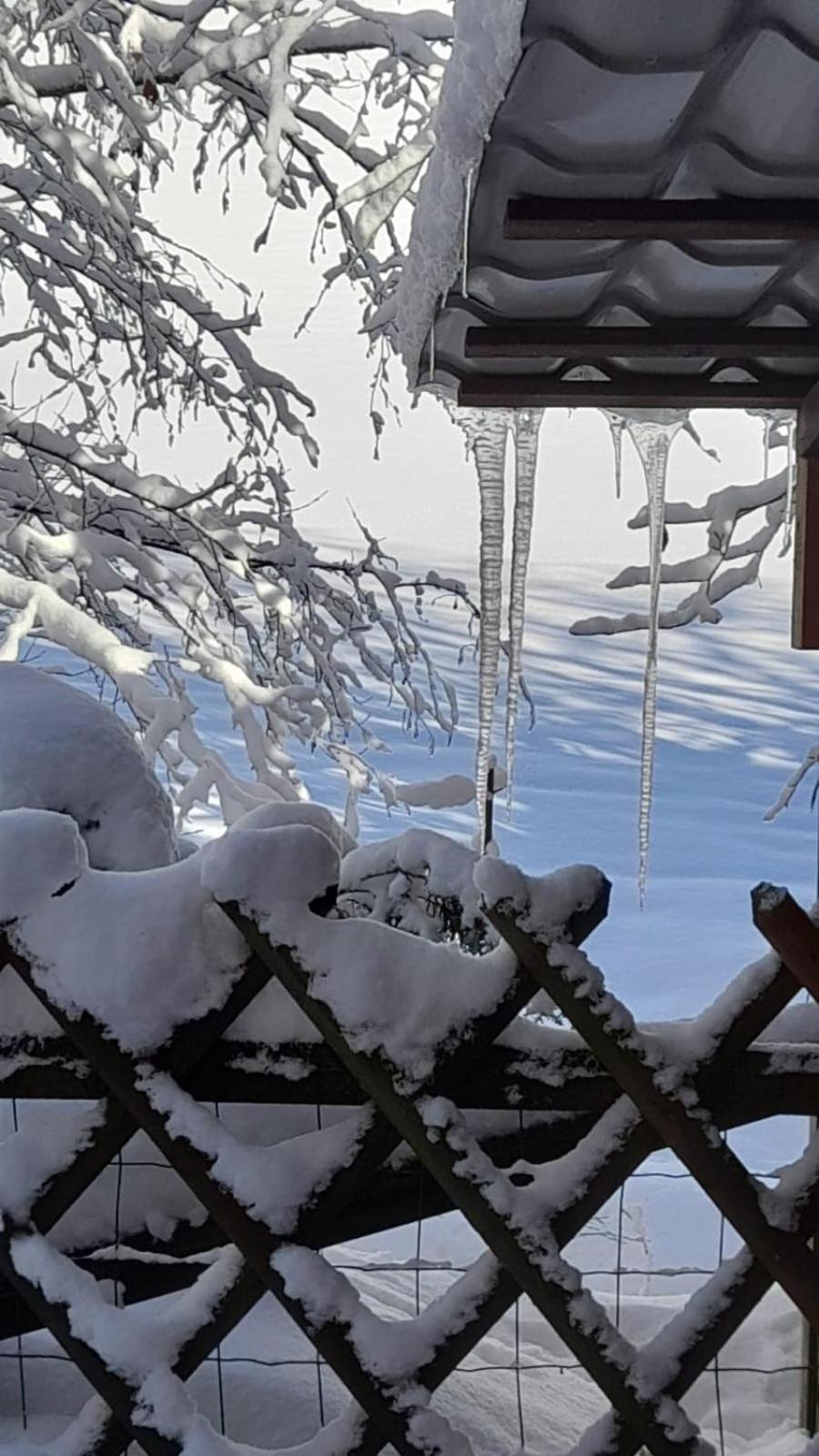 Ferienwohnung Haus Am Bach In Toggenburg Wildhaus Kültér fotó